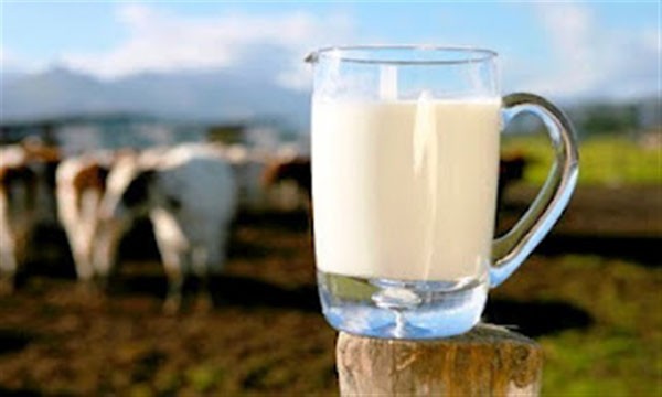 (upd)Σύσταση ομάδας εργασίας για το θέμα του γάλακτος, ζητούν οι αγελαδοτρόφοι
